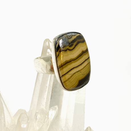 Schalenblende Rectangular Cabochon Ring Size 8 KRGJ3392