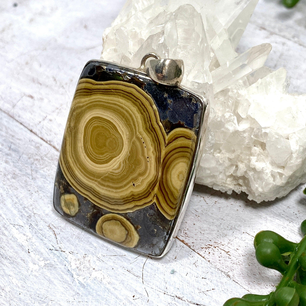 Schalenblende square cabochon pendant KPGJ2196 - Nature's Magick