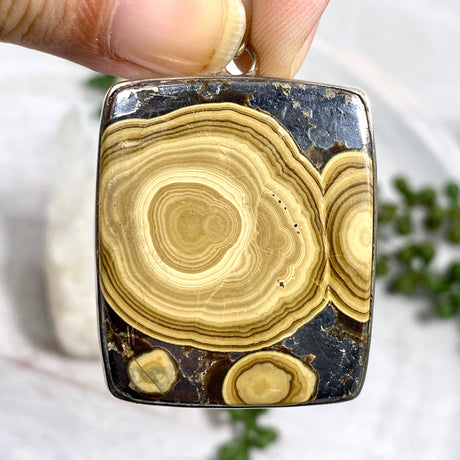 Schalenblende square cabochon pendant KPGJ2196 - Nature's Magick