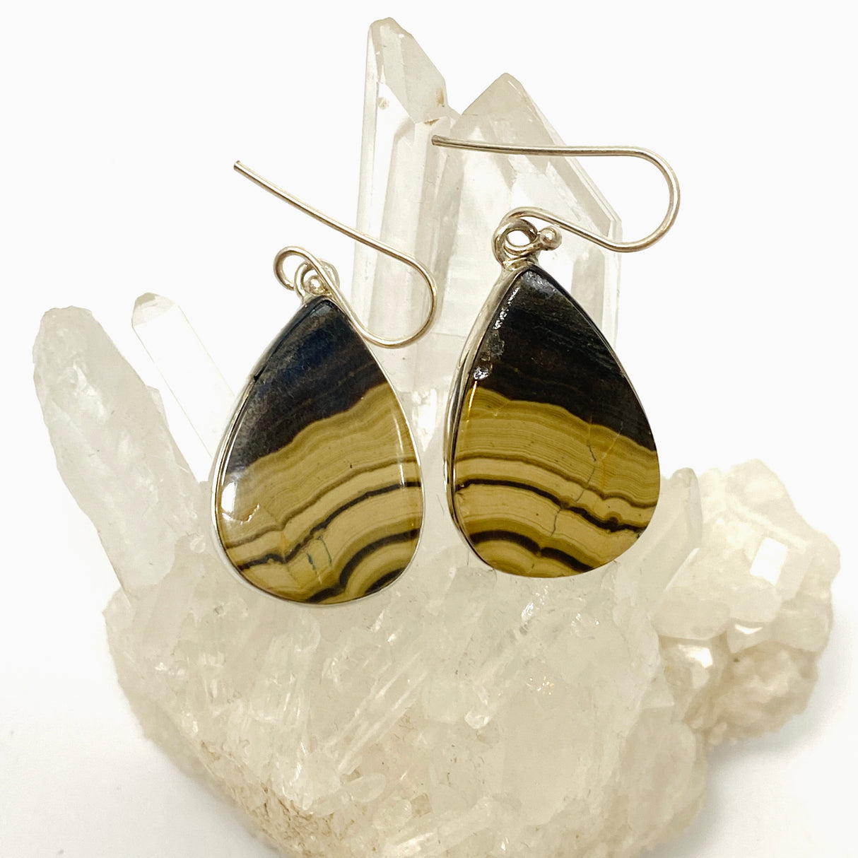 Schalenblende Teardrop Cabochon Earrings KEGJ1561