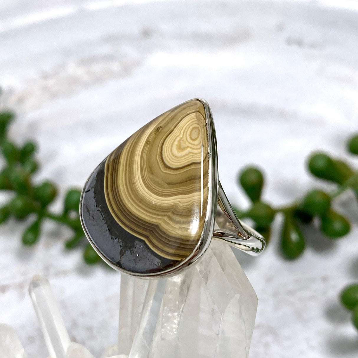 Schalenblende teardrop ring s.10 KRGJ1645 - Nature's Magick