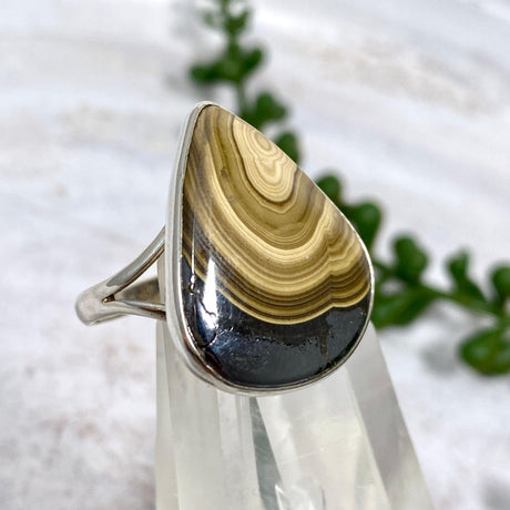 Schalenblende teardrop ring s.10 KRGJ1645 - Nature's Magick