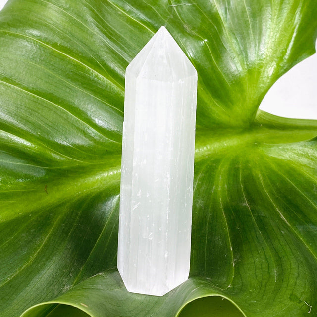 Selenite Tower SELG-01 - Nature's Magick