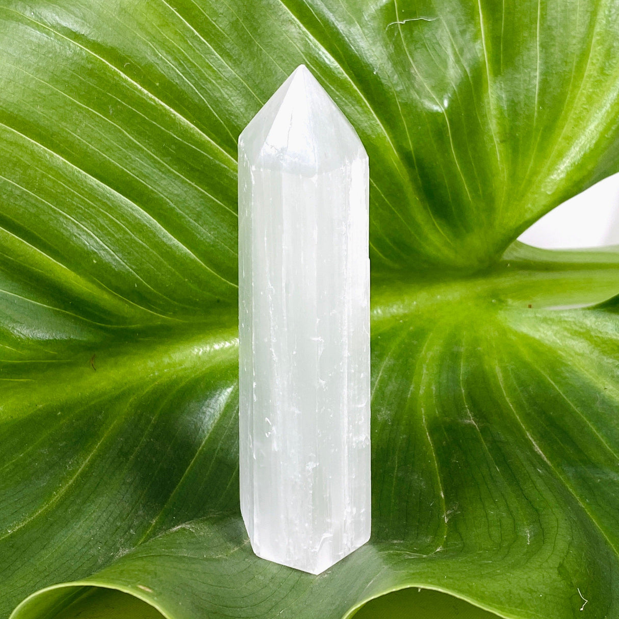 Selenite Tower SELG-01 - Nature's Magick