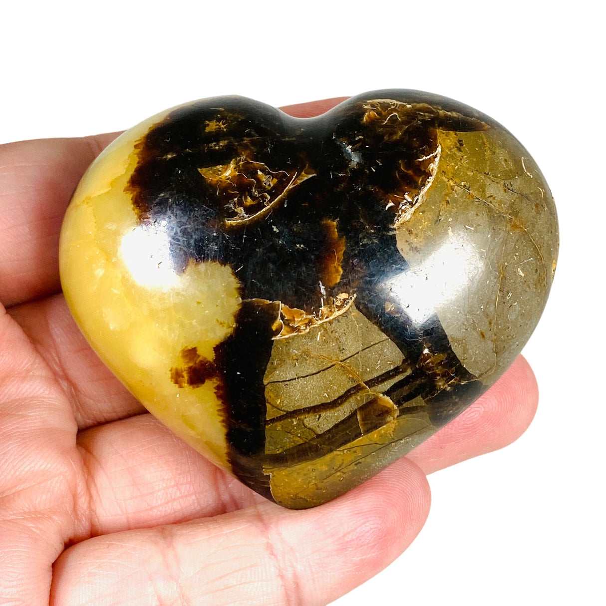 Septarian Jasper Heart SEJH-01 - Nature's Magick