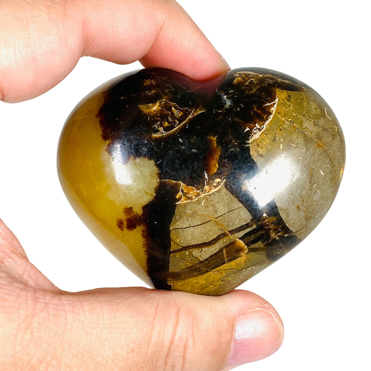 Septarian Jasper Heart SEJH-01 - Nature's Magick