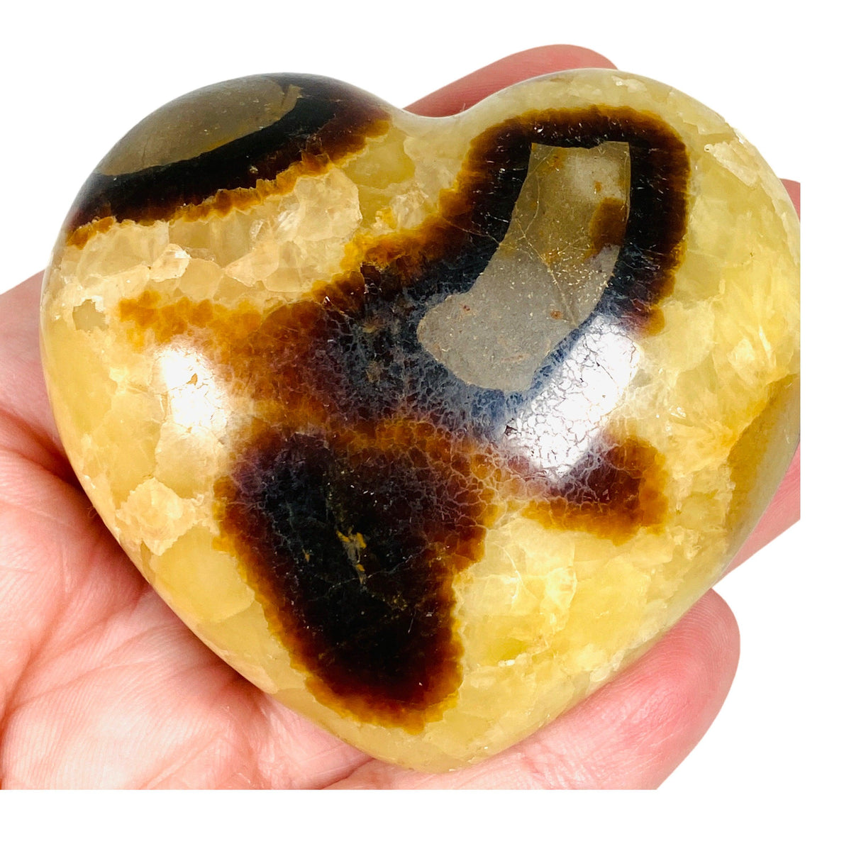 Septarian Jasper Heart SEJH-02 - Nature's Magick