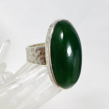 Serpentine Beaten Band Oval Ring Size 8.5 KRGJ1457 - Nature's Magick