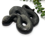 Silversheen Obsidian slithering snake SOSNL-01