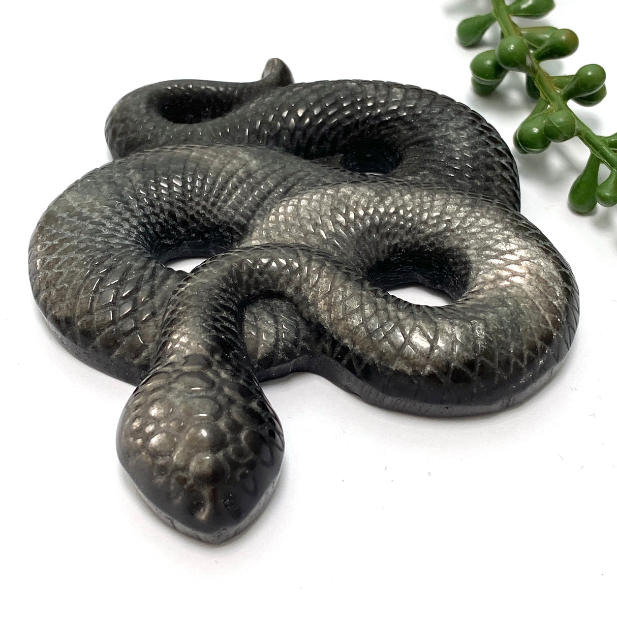 Silversheen Obsidian slithering snake SOSNL-01