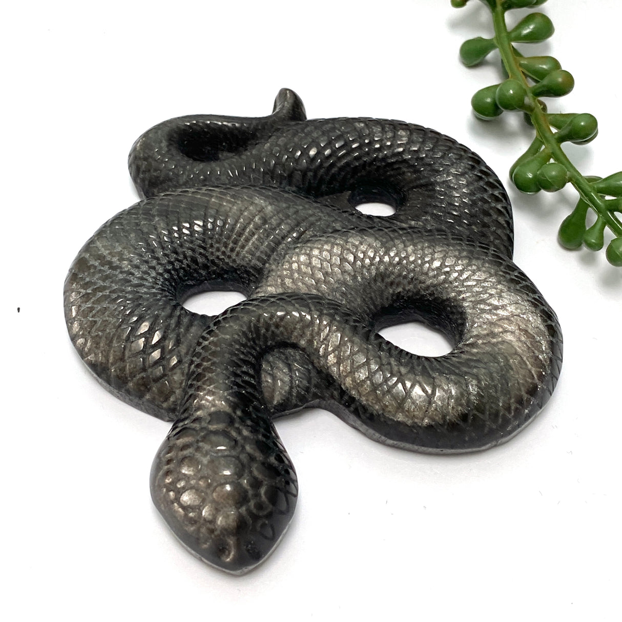 Silversheen Obsidian slithering snake SOSNL-01