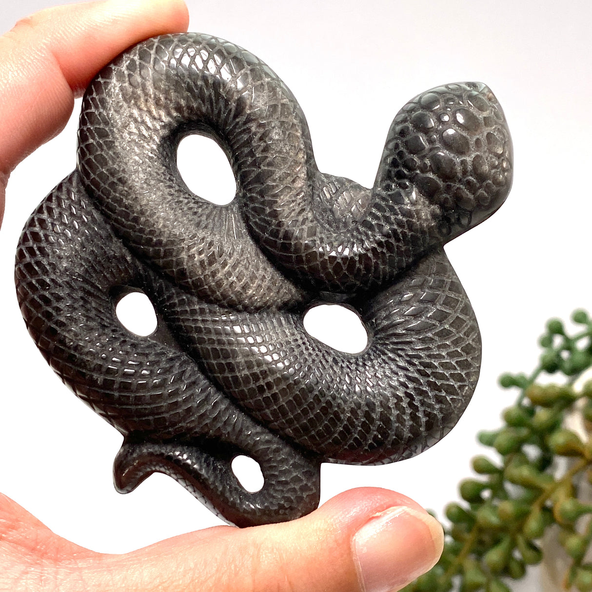 Silversheen Obsidian slithering snake SOSNL-01