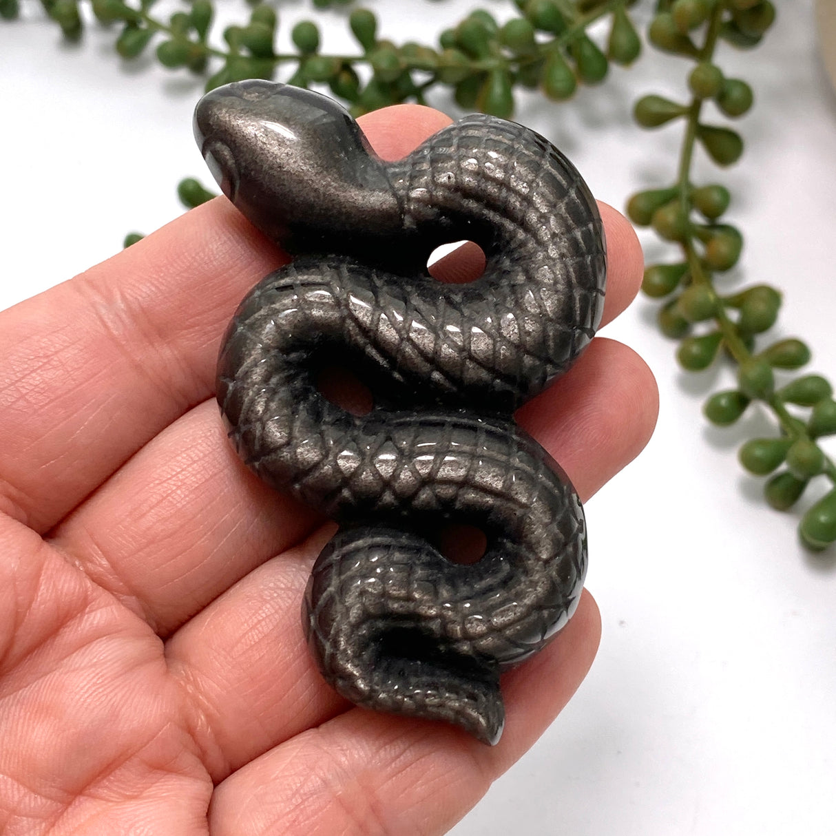 Silversheen Obsidian slithering snake SOSNM-01