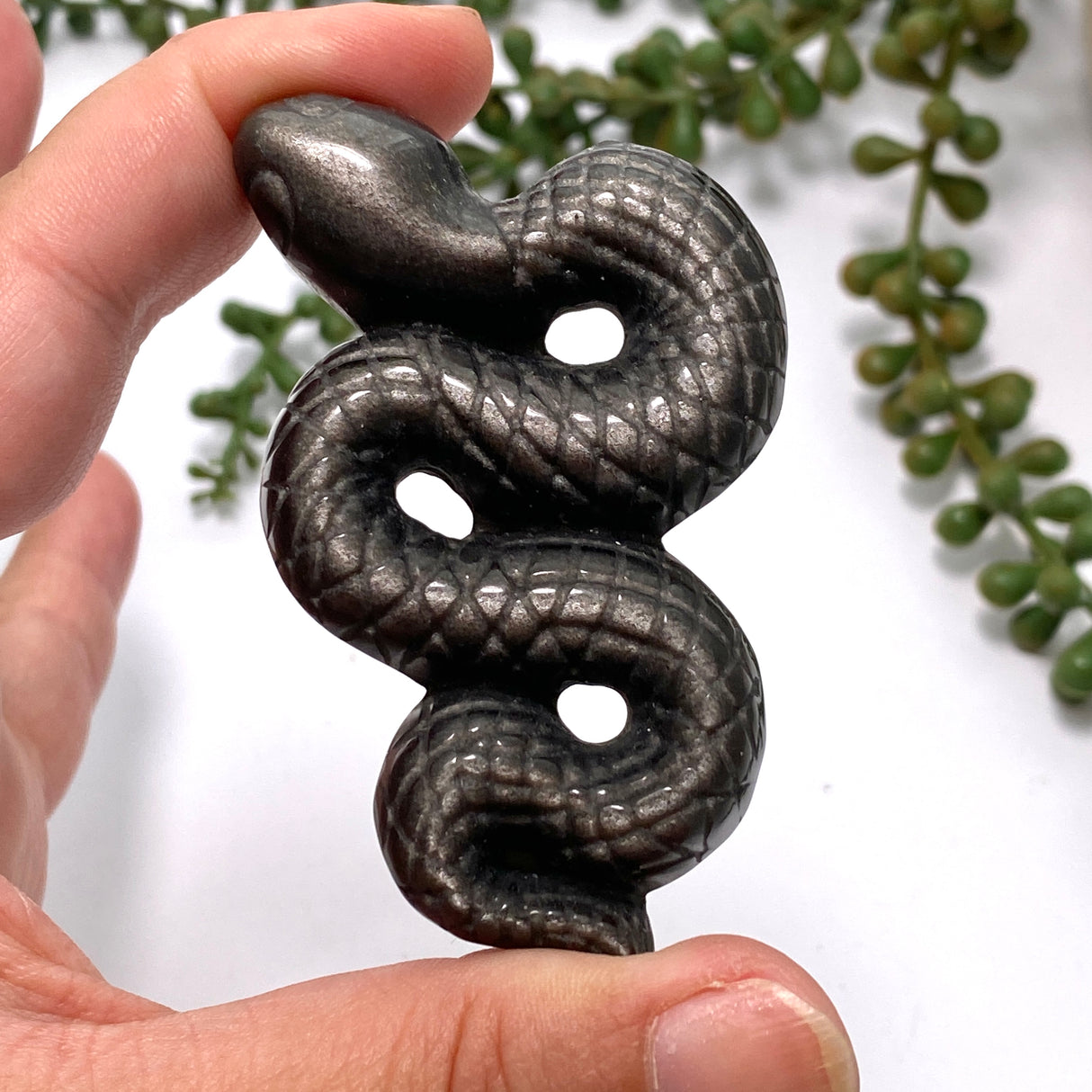 Silversheen Obsidian slithering snake SOSNM-01