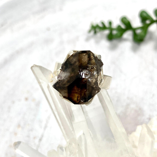 Smokey Quartz Mooralla raw ring s.8 PRGJ326 - Nature's Magick