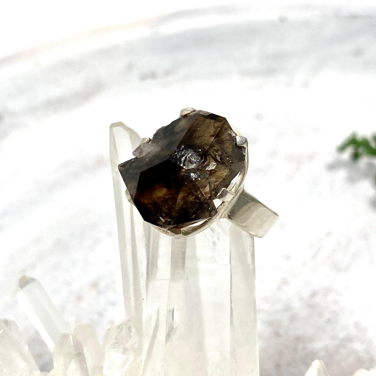 Smokey Quartz Mooralla raw ring s.8 PRGJ326 - Nature's Magick