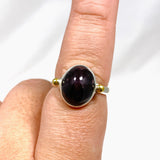 Star Garnet Oval Ring with Brass Detailing Size 9 KRGJ3138 - Nature's Magick
