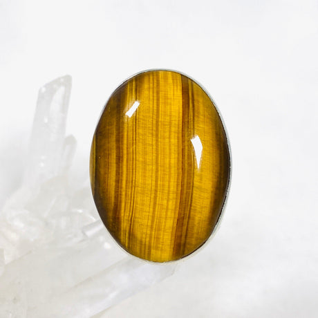 Tigers Eye Oval Hammered Band Ring Size 10 KRGJ3129 - Nature's Magick