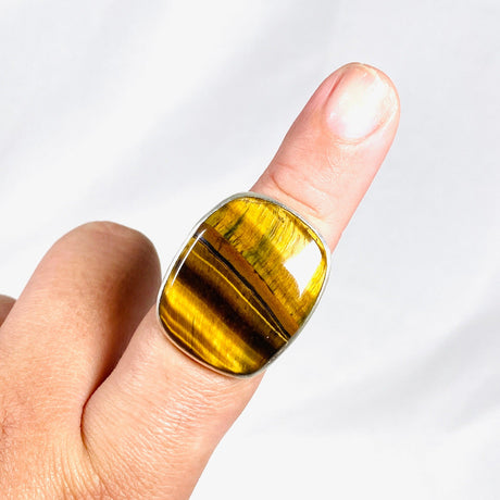 Tigers Eye Rectangular Hammered Band Ring Size 8 KRGJ3119 - Nature's Magick