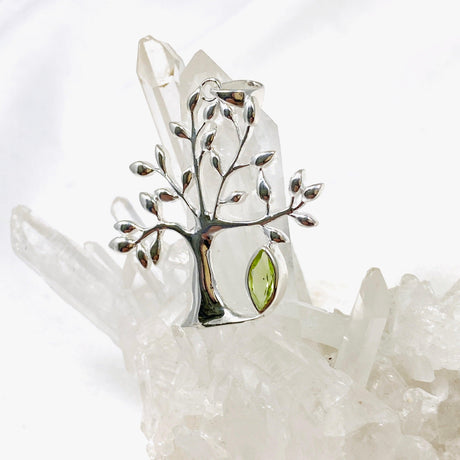 Tree of Life Faceted Marquise Pendant G2179 - Nature's Magick