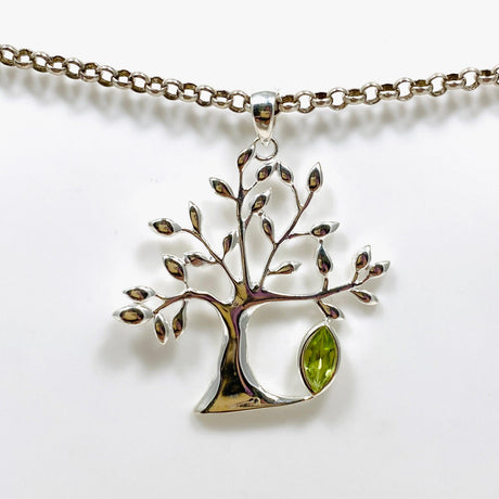 Tree of Life Faceted Marquise Pendant G2179 - Nature's Magick