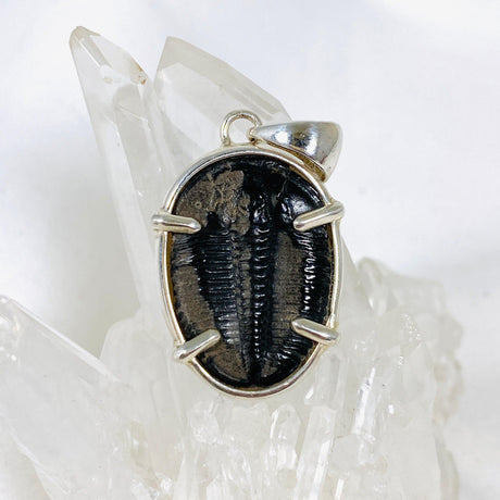 Trilobite Fossil pendant KPGJ2890 - Nature's Magick