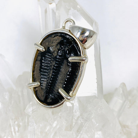 Trilobite Fossil pendant KPGJ2890 - Nature's Magick