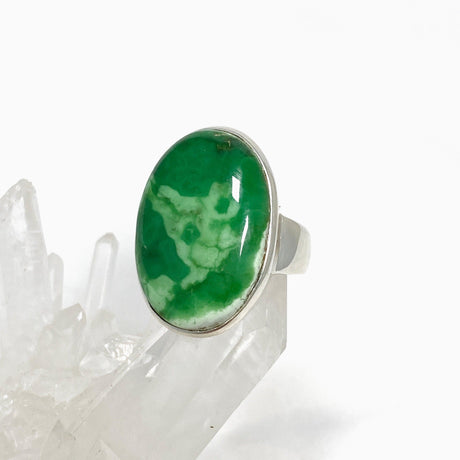 Variscite Oval Ring Size 8.5 PRGJ468 - Nature's Magick