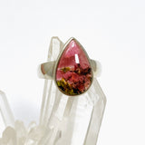 Watermelon Tourmaline Teardrop Cabochon Ring Size 8 PRGJ747