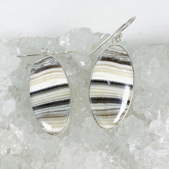 Zebra Calcite Oval Earrings KEGJ1420 - Nature's Magick