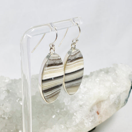 Zebra Calcite Oval Earrings KEGJ1420 - Nature's Magick