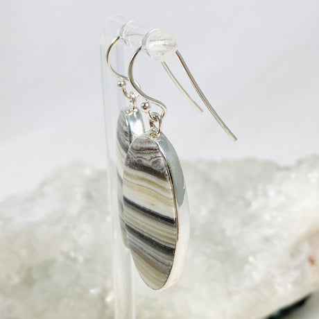 Zebra Calcite Oval Earrings KEGJ1420 - Nature's Magick