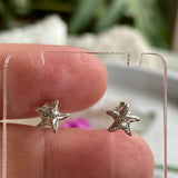 Starfish Stud Earrings SE352B