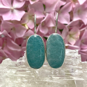 Amazonite fixed hook oval earrings KEGJ1238 - Nature's Magick