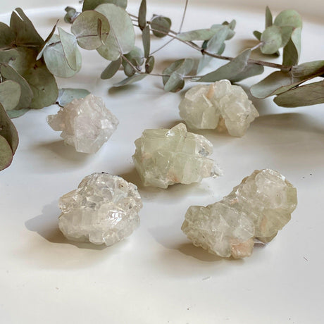 Apophylite small cluster ZAA-01 - Nature's Magick