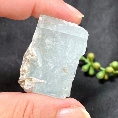 Aquamarine with mica AQS-02 - Nature's Magick