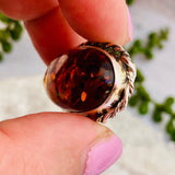 Baltic Cognac Amber oval brooch AMB131 - Nature's Magick