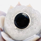Black Onyx round cabochon ring with split band s.9 KRGJ1637 - Nature's Magick