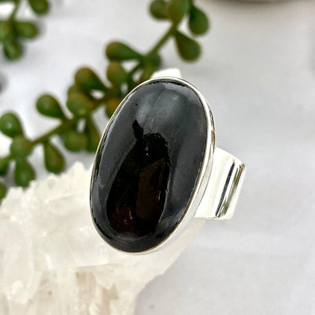 Black Star Diopside Oval Ring Size 11 KRGJ2605 - Nature's Magick