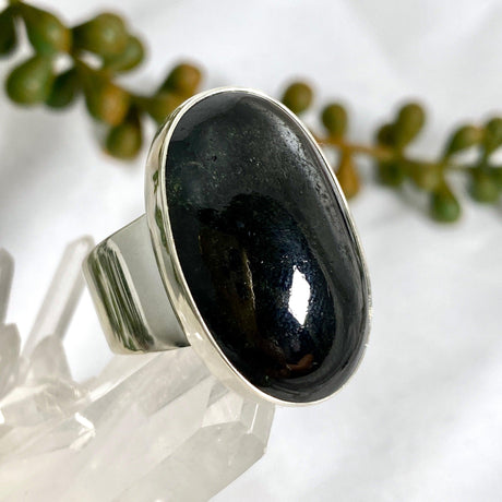 Black Star Diopside Oval Ring Size 11 KRGJ2605 - Nature's Magick