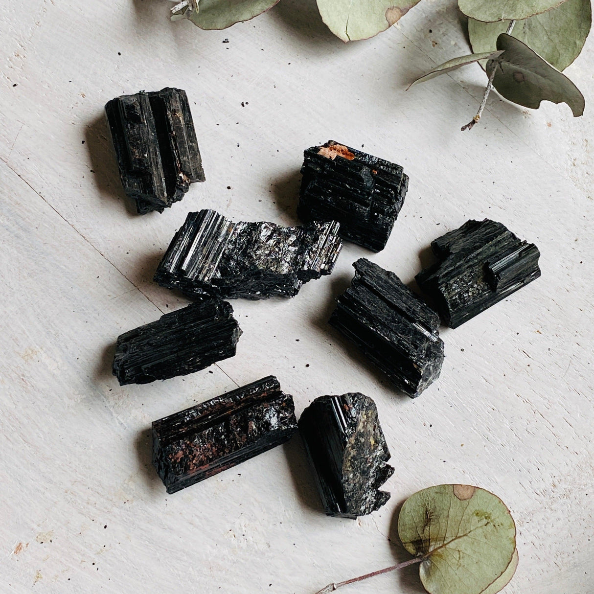 Black Tourmaline Raw Crystal 10-19g BTR-01 - Nature's Magick