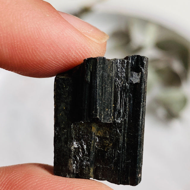 Black Tourmaline Raw Crystal 10-19g BTR-01 - Nature's Magick