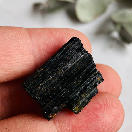 Black Tourmaline Raw Crystal 10-19g BTR-01 - Nature's Magick