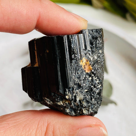 Black Tourmaline Raw Crystal 66-80g BTR-05 - Nature's Magick