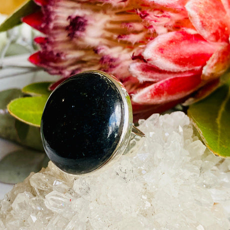 Black Tourmaline round beaten band ring s.9 KRGJ2251 - Nature's Magick