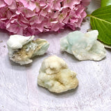 Blue Aragonite specimen BAGS-01 - Nature's Magick