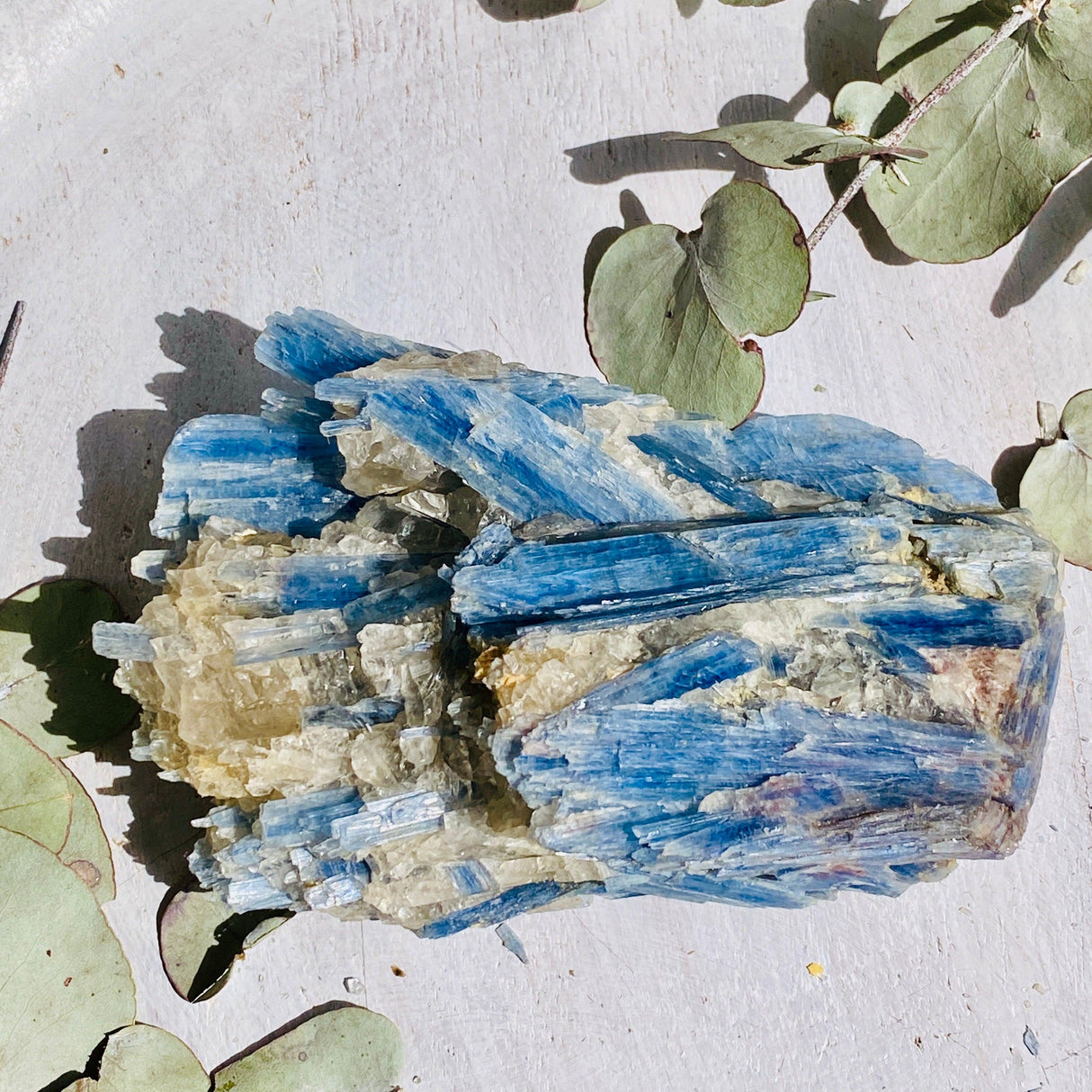 Blue Kyanite crystal BKY-01 - Nature's Magick