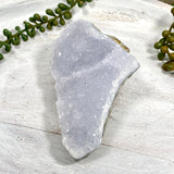 Blue Lace Agate Raw Crystal CR3523 - Nature's Magick