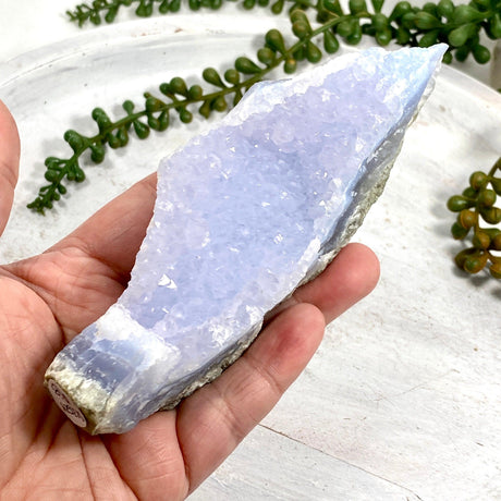 Blue Lace Agate Raw Crystal CR3524 - Nature's Magick