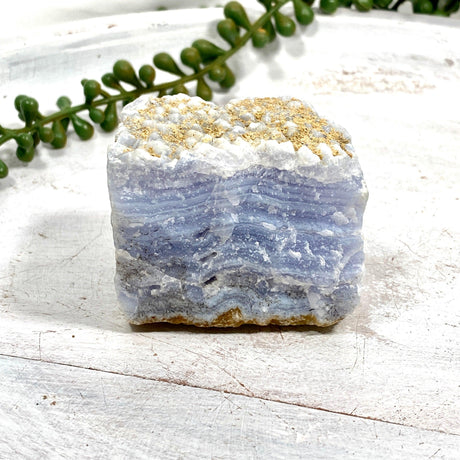 Blue Lace Agate Raw Crystal RB09 - Nature's Magick